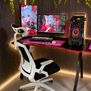 BỘ 2 MÀN HÌNH GAMING | LOL, FO4, CF (Đột Kích), Audition, Valorant (Mượt mà, ổn định)